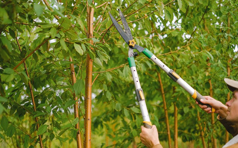 Tree trimming in Doe Run, MO